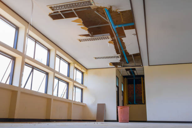 Best Local water damage restoration  in Barre, VT