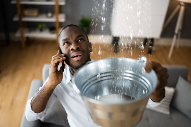 Best Sewage cleanup and water damage restoration  in Barre, VT