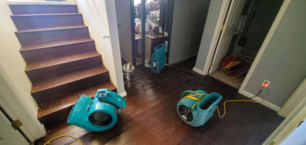 Best 24-hour water damage restoration  in Barre, VT