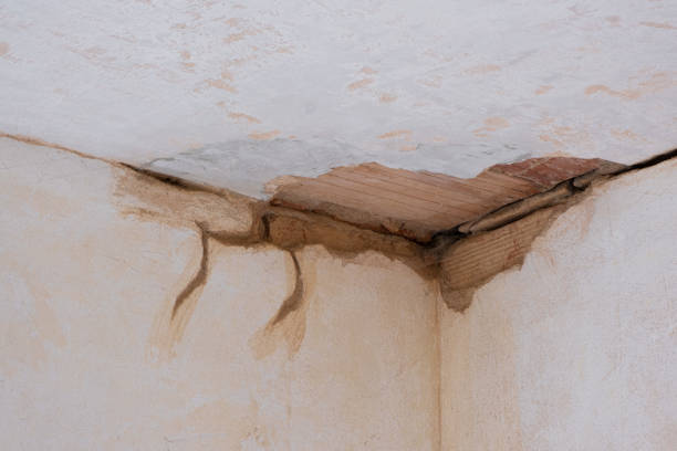 Best Flooded house restoration  in Barre, VT