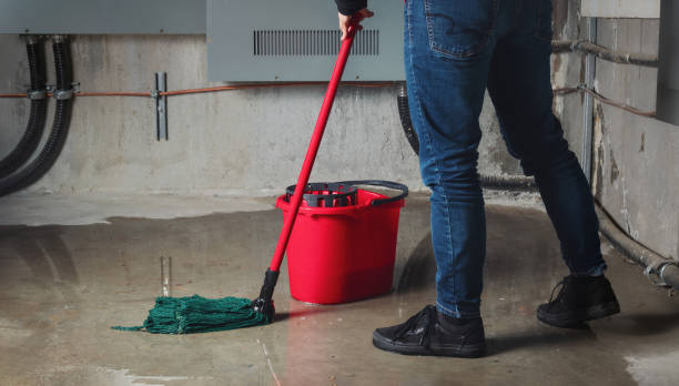 Best Water damage restoration company  in Barre, VT