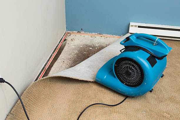  Barre, VT Water damage restoration Pros